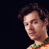 Harry Styles terá cena de sexo intensa com Florence Pugh: "Confiava na equipe"