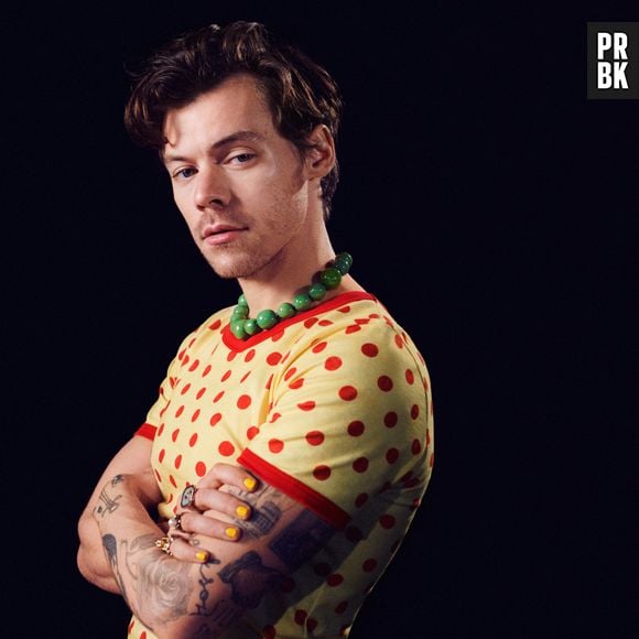 Harry Styles terá cena de sexo intensa com Florence Pugh: "Confiava na equipe"