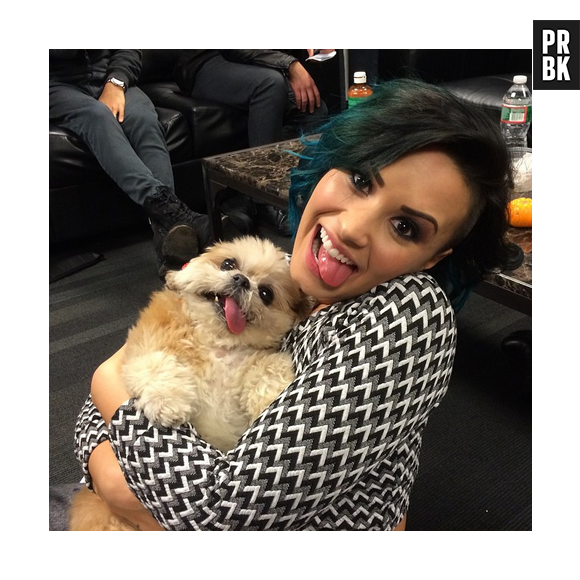 Marnie the dog e a cantora Demi lovato. A cadelinha foi fazer uma visita à cantora antes do show