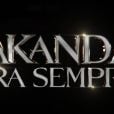 "Pantera Negra: Wakanda Para Sempre" estreia em 10 de novembro e mostrará novo Pantera Negra após morte de T'Challa (Chadwick Boseman)