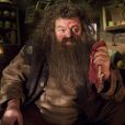 "Harry Potter": Robbie Coltrane, o Hagrid, tem causa de morte revelada. Confira!
