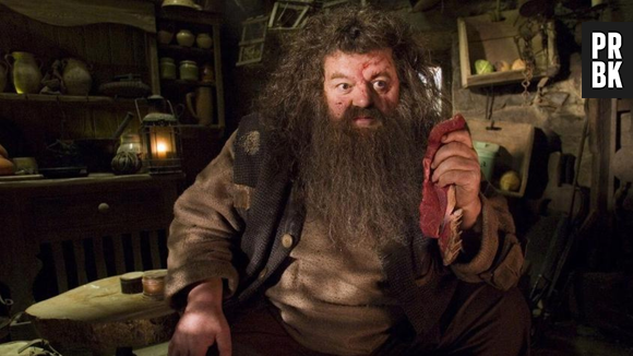 "Harry Potter": Robbie Coltrane, o Hagrid, tem causa de morte revelada. Confira!