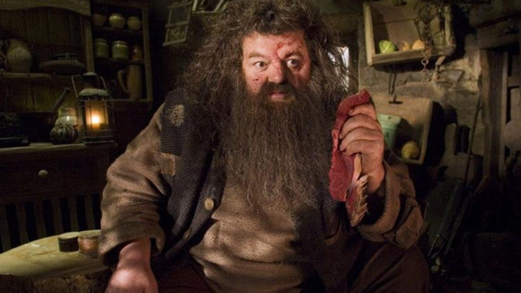 "Harry Potter": Robbie Coltrane, o Hagrid, tem causa de morte revelada. Confira!