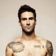 Além de cantar a frente do grupo Maroon 5, Adam Levine também é um dos técnicos do "The Voice US"