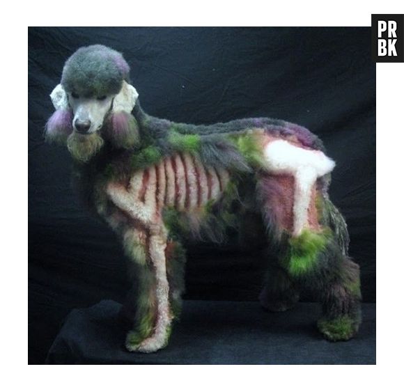 Tosa mais fúnebre do mundo!