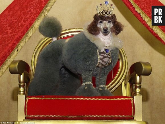 O que dizer desta rainha que mal conhecemos e já amamos pacas?