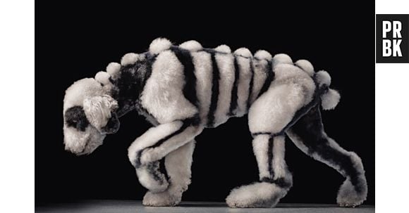 Segunda tosa mais fúnebre do mundo!!