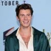 Shawn Mendes ficou solteiro após fim do namoro com Camila Cabello