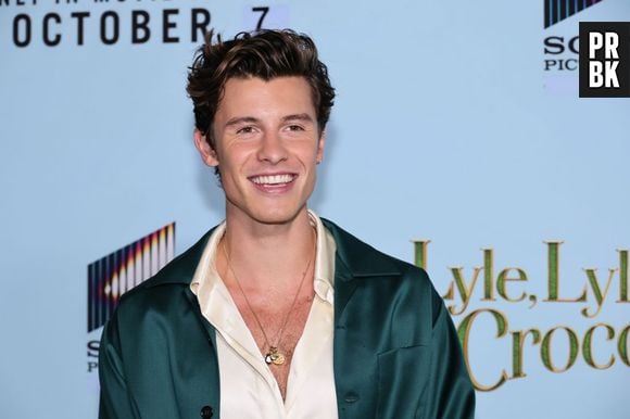 Shawn Mendes ficou solteiro após fim do namoro com Camila Cabello