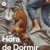 "BBB23": 6 playlists para curtir (ou não) o resultado pós-Paredão