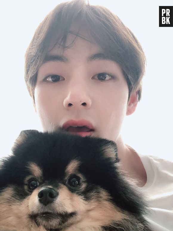 Kim Taehyung, o V do BTS, aparece com cabelo novo e saúde dos fios preocupa fãs: "Destruído"