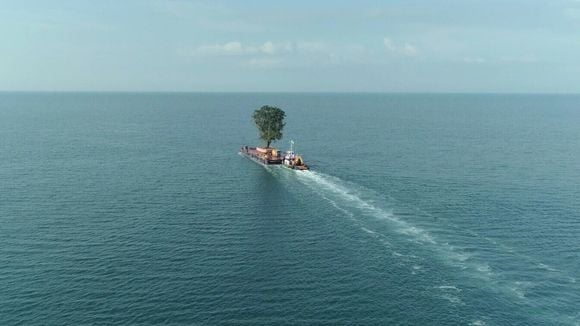 Um bilionário tem transportado árvores de barco há anos para seu jardim pessoal. E não há quem o impeça