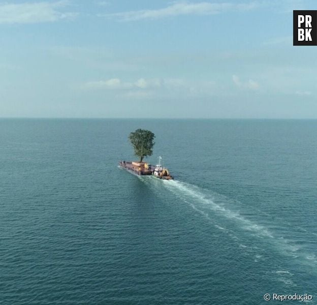 Um bilionário tem transportado árvores de barco há anos para seu jardim pessoal