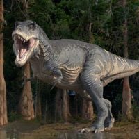 Tiranossauro Rex encontrado no Canadá em 1991 é o maior do mundo, Natureza