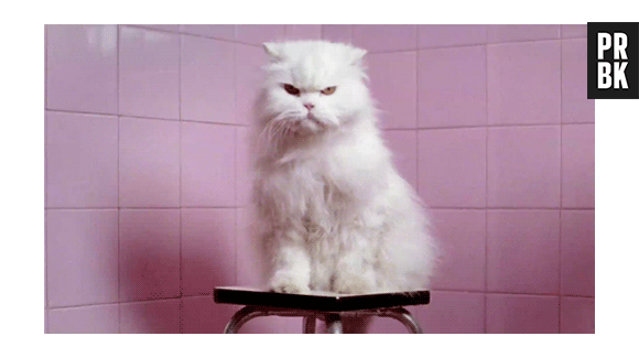 Ficar esperando a vez de pegar a água no bebedouro