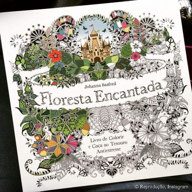 "Floresta Encantada" &eacute; um livro de colorir que est&aacute; agradando todo mundo