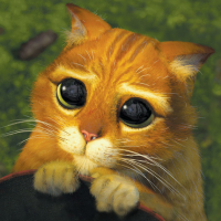 Astrologia: descubra como Áries, Escorpião, Câncer e cada signo do zodíaco pedem desculpas