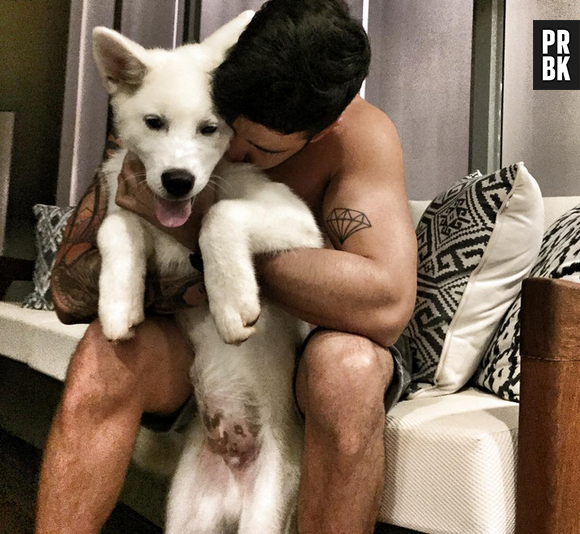 Gusttavo Lima além de lindo é um fofo e adora seus pets!