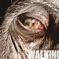 Spoilers: Não se morda de ansiedade, "The Walking Dead" retorna este mês!