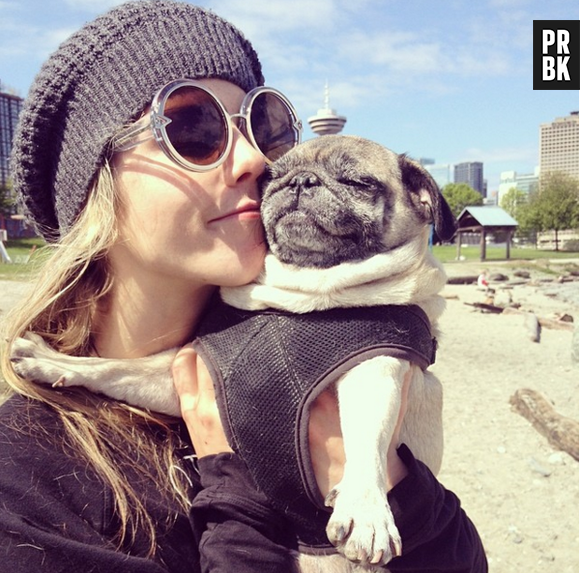 Emily Bett Rickards publica várias fotos bobas com seus animais de estimação