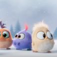 "Angry Birds: O Filme" ganhou um novo vídeo para o Natal