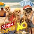 Menção honrosa também para o comercial da Nova Schin em que ninguém quer mais sair da praia!