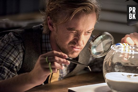 Tom Felton será o cientista Julian em "The Flash"