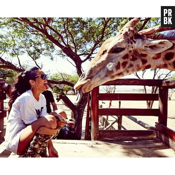 Rihanna também tirou fotos com girafas