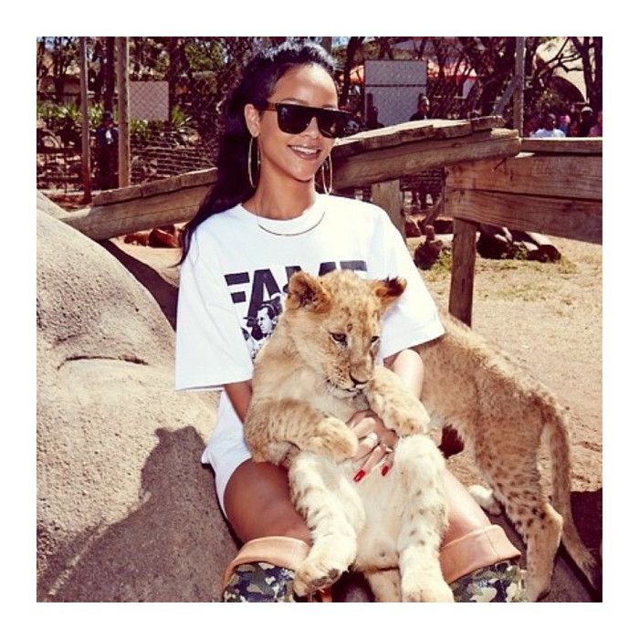 Nem o filhote de leão fugiu do abraço de Rihanna