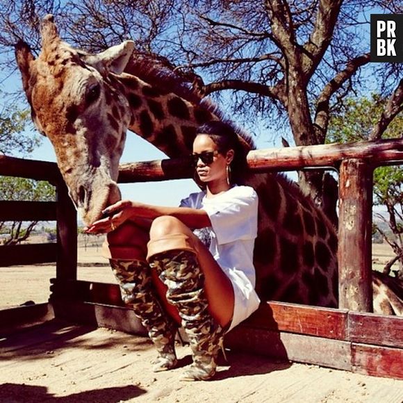 A girafa recebeu carinho de Rihanna