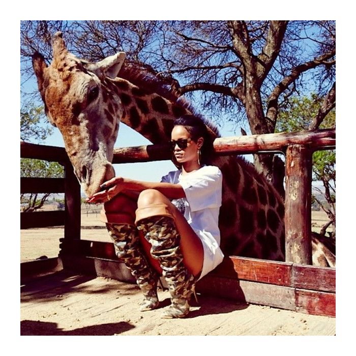 A girafa recebeu carinho de Rihanna