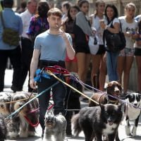 Daniel Radcliffe roda filme em Nova York cercado por vários cachorros