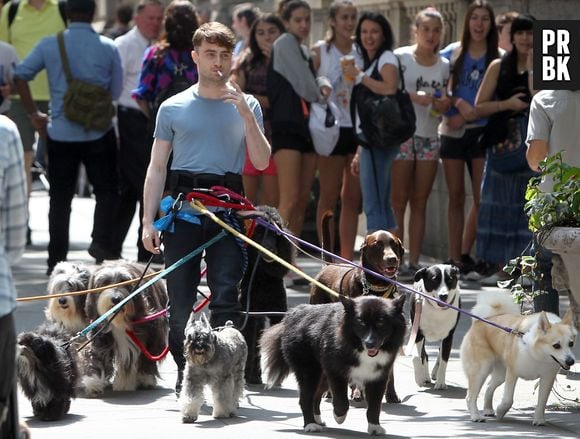 Daniel Radcliffe grava comédia "Trainwreck" em Nova York, nos Estados Unidos