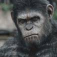  "Planeta dos Macacos 2 - O Confronto" traz a batalha &eacute;pica entre homens e primatas 
