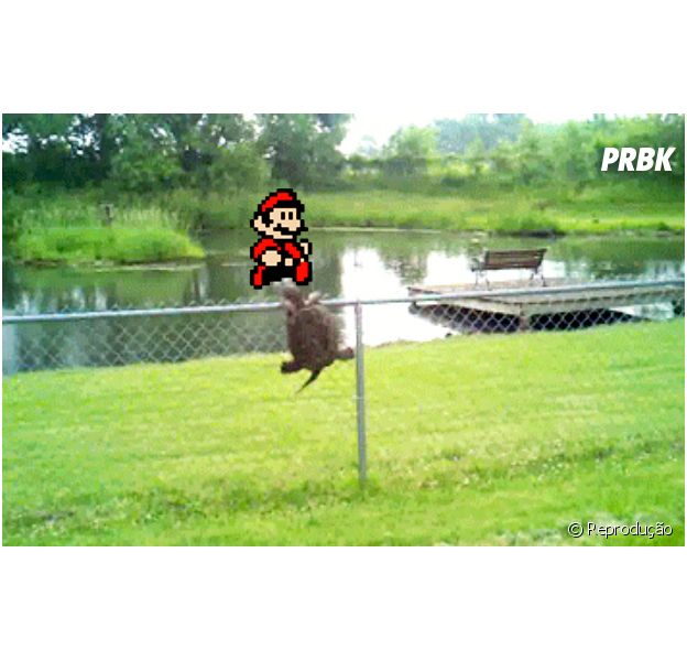 Montagem do Mario pulando na tartaruga caindo