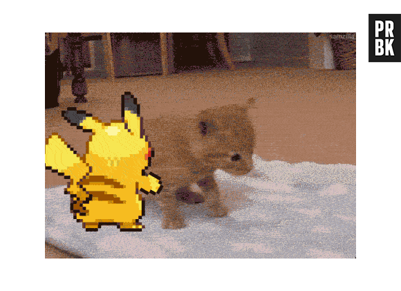 Pikachu empurrando filhote de gatinho