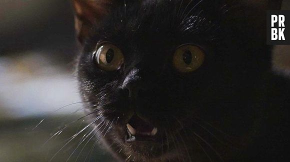 De "O Sétimo Guardião", León aparece em "O Tempo Não Para" para ajudar Waleska (Carol Castro)