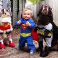 O Super-man e seus dois fiéis escudeiros caninos