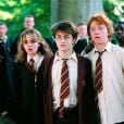 A saga "Harry Potter" e 11 curiosidades que você provavelmente não sabia!