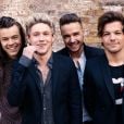 One Direction: apesar do sucesso, Liam Payne diz que não foi um período muito fácil