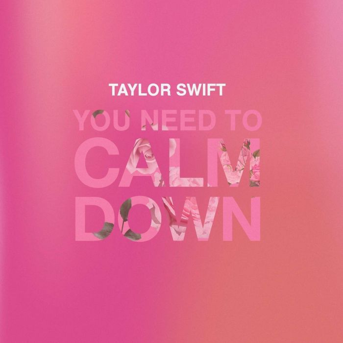 Taylor Swift critica homofobia, machismo e muito mais em &quot;You Need To Calm Down&quot;