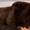 "O Rei Leão": IZA e Ícaro Silva representarão Beyoncé e Donald Glover na dublagem de Nala e Simba