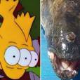 O "peixe radioativo" de 3 olhos saiu de  Springfield   para a vida real! 