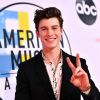 Shawn Mendes completa 21 anos! Descubra se você sabe tudo sobre o cantor com este teste