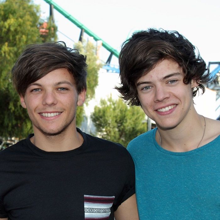 Louis Tomlinson e Harry Styles foram apontados como casal na época do One Direction