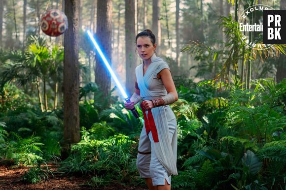 CCXP 2019: elenco de "Star Wars: Ascensão de Skywalker" é confirmado no painel da Disney