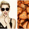  Miley Cyrus s&oacute; n&atilde;o consegue ser mais pol&ecirc;mica que esses biscoitos, ou seriam eles bolachas?! 