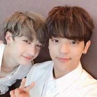 Bang Chan dá mais detalhes sobre saída de Woojin do Stray Kids em live