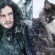  Jonh Snow (Kit Harington) de "Game of Thrones" e o gato bastardo 