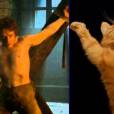  O gato do Theon (Alfie Allen) sofre junto com ele em "Game Of Thrones" 
